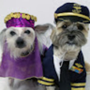 Meet your Posher, Holly